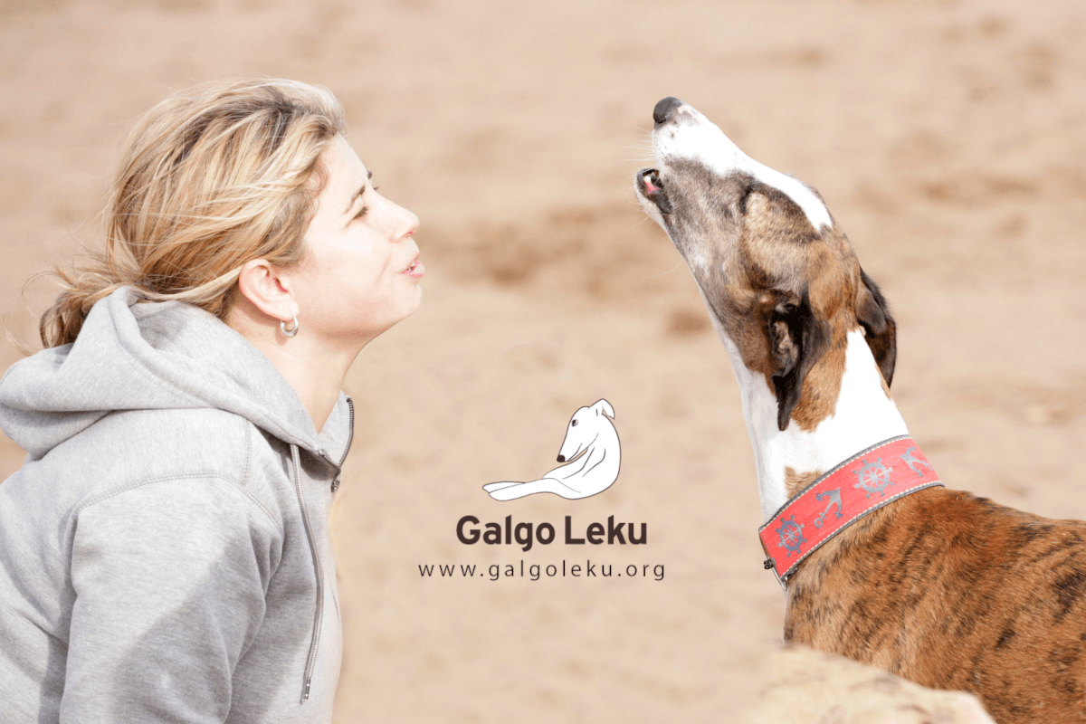 Foto y logo de Galgo Leku